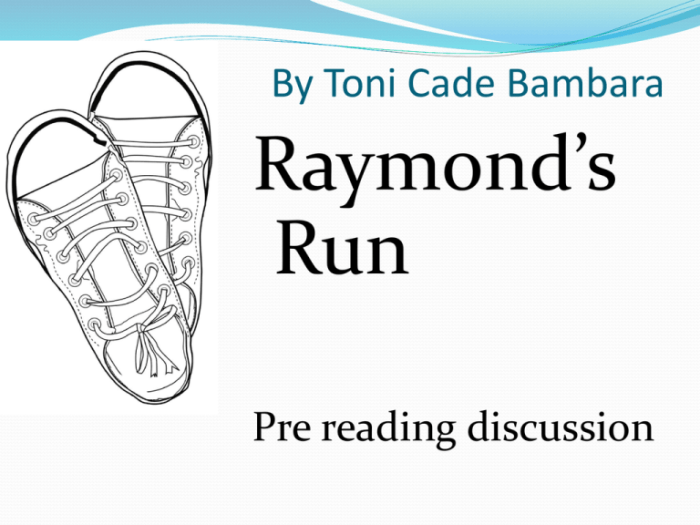 What is the theme for raymond's run