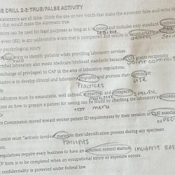 Knowledge drill 8-3 true/false activity