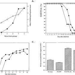 Stores biochemicals helps in cell growth