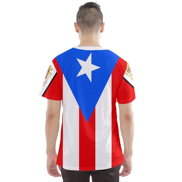 Significado del escudo de puerto rico