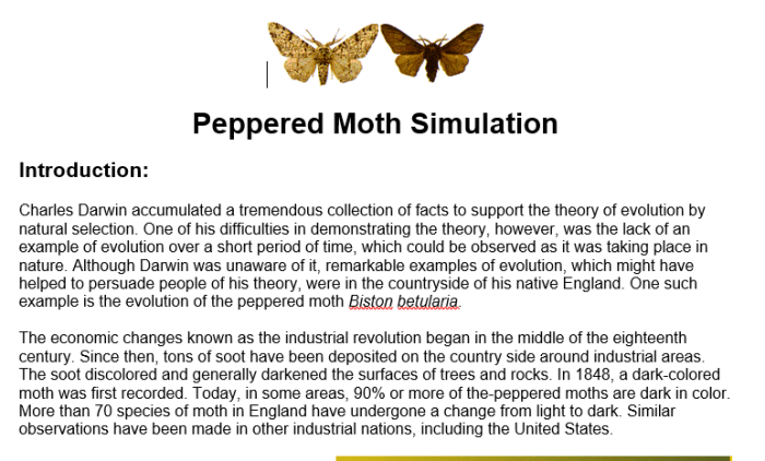 Peppered moth answer key pdf