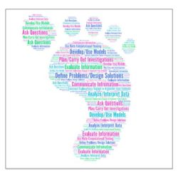 Analyzing and interpreting scientific data pogil answer key