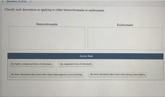 Classify each description as applying to either heterochromatin or euchromatin.