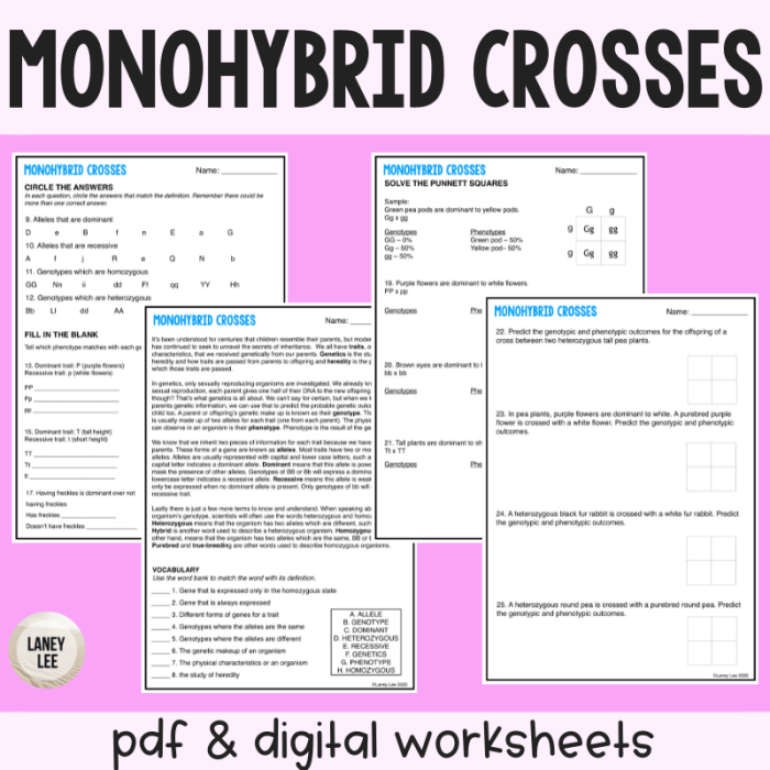 Practice with monohybrid punnett squares worksheet answers