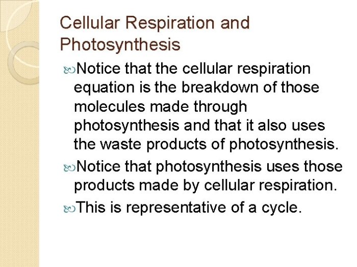 Cellular respiration an overview pogil answers