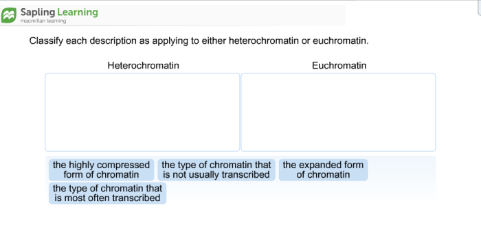 Solved classify feedback juil 1300 give 1200 resources il transcribed problem text been show has each description